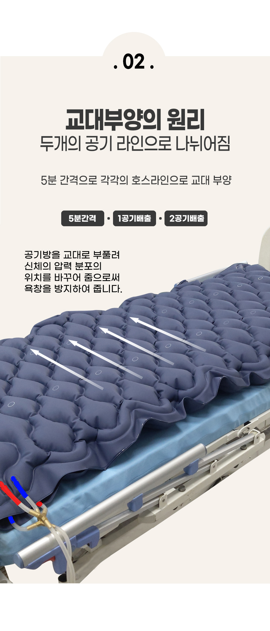 AD-III MUTE Bio Double 상세 이미지 4