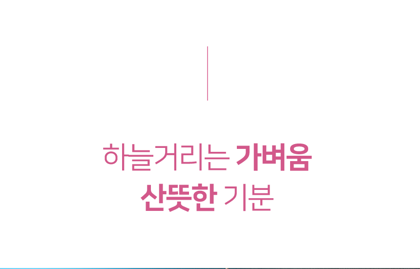 NSBS-PT30 상세 이미지 7